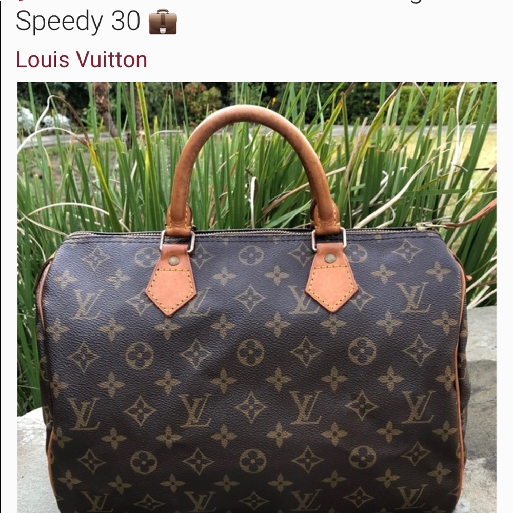Louis Vuitton Speedy 30